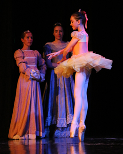 2016-ballet-show-3